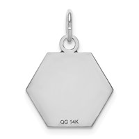 14K White Gold 15mm Hexagon Red Enameled Medical Jewelry Pendant view 4