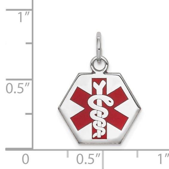 14k White Gold 15mm Hexagon Red Enameled Medical Jewelry Pendant
