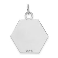 14K White Gold 22.5mm Hexagon Red Enameled Medical Jewelry Pendant view 4