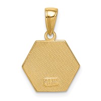 14K 14mm Yellow Gold Hexagon Enameled Textured Back Medical Disc Pendant view 4