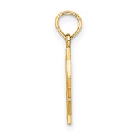 14K Medical Jewelry Symbol Charm view 2