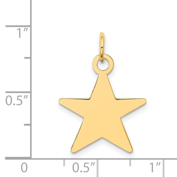 14K Star Disc Charm