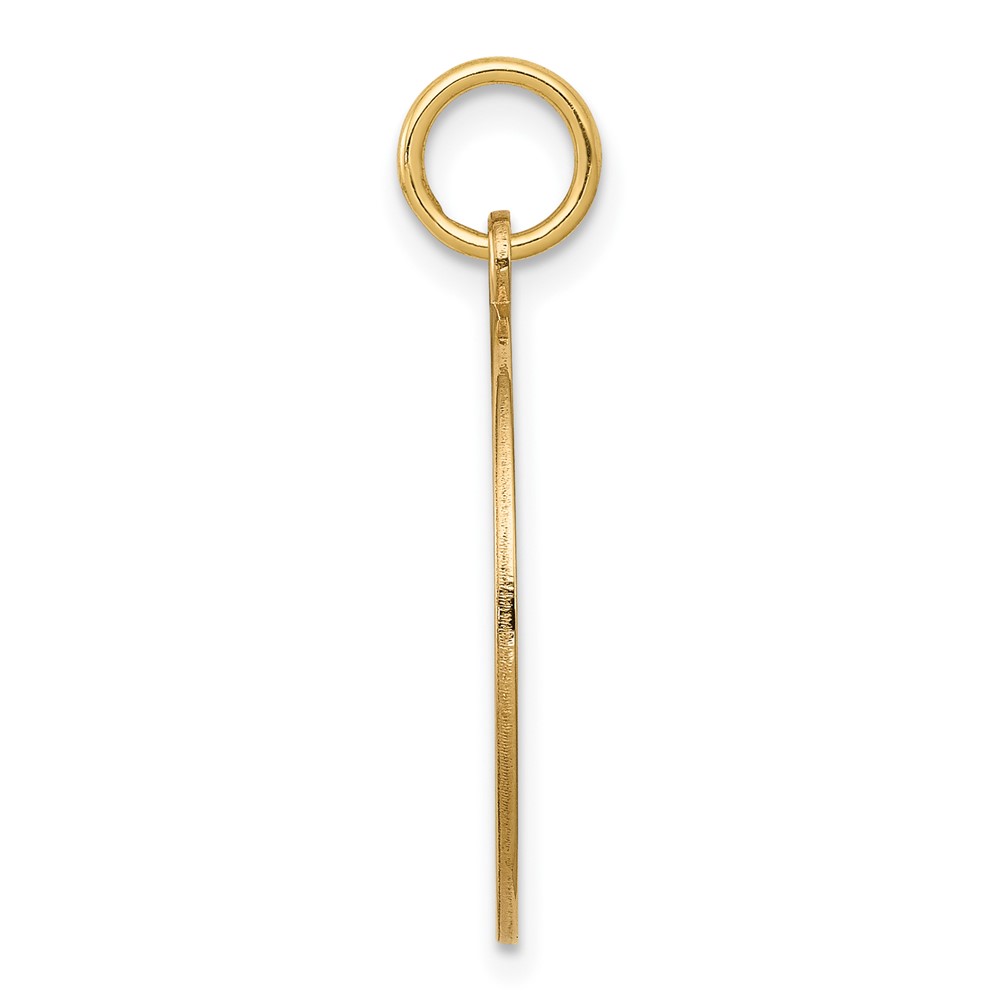 14k w/Enamel .027 Gauge Circular Engravable Disc Charm (XM612/27)