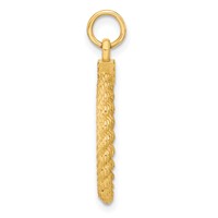 14K Yellow Gold Plain.013 Gauge Round Engravable 20.3x 18.6mm Disc Charm with Rope Edge view 2