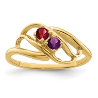 14K Yellow Gold Genuine 2 Stone Mother's Ring view 2