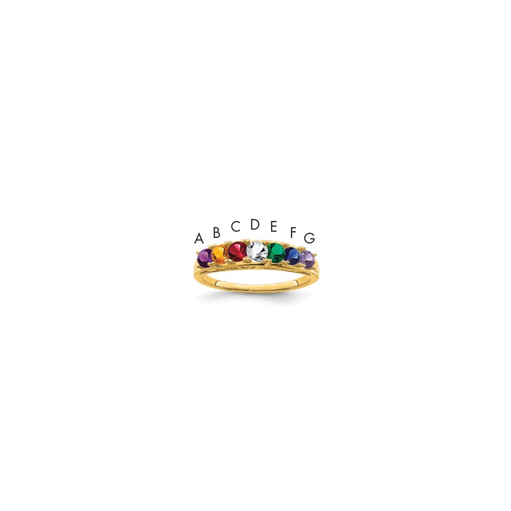 14K White Gold Synthetic Family Jewelry Ring