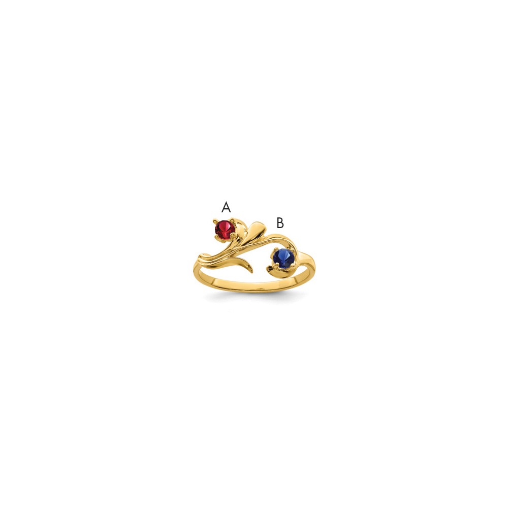 14K Yellow Gold Genuine 2 Stone Mother's Ring