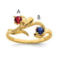 14K Yellow Gold Genuine 2 Stone Mother's Ring view 1