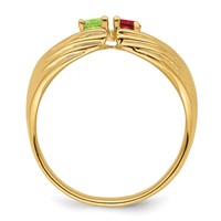 14K Yellow Gold 2 Genuine Stone Family Ring view 3