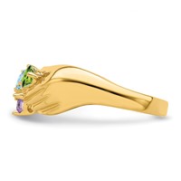 14K Yellow Gold 5 Genuine Stone Family Ring view 4
