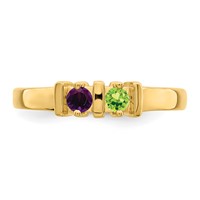 14K Yellow Gold Genuine 2 Stone Mother's Ring view 5