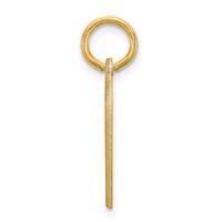 14K Yellow Gold Small Heart Disc Name Charm view 2