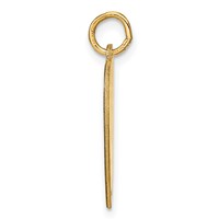 14K Yellow Gold Heart Disc Name Charm view 2