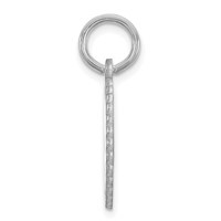 14K White Gold Scalloped Disc Charm with Name view 2
