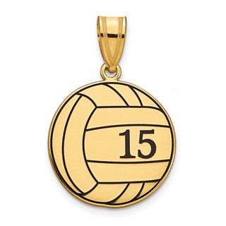 Personalized Volleyball with Enameled Pendants