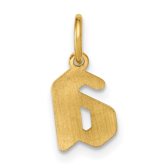 SS/Gold-plated Upper/Lower-case Epoxy Initial Charm