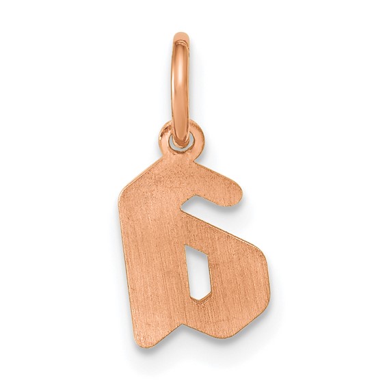 SS/Rose-plated Upper/Lower-case Epoxy Initial Charm