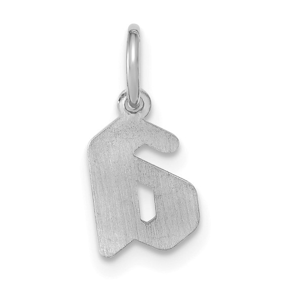 SS/Rhodium-plated Upper/Lower-case Epoxy Initial Charm