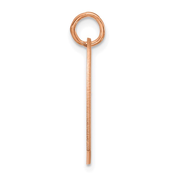 SS/Rose Gold-Plated Heart with Name and Number Charm