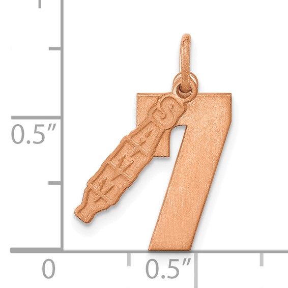 SS/Rose Gold-Plated 2 Piece Satin Name with Number Charm