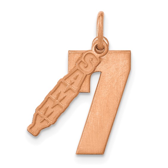 SS/Rose Gold-Plated 2 Piece Satin Name with Number Charm