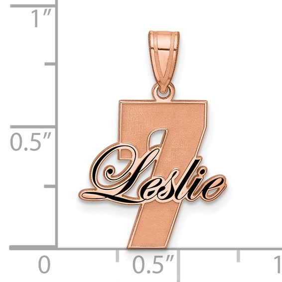 SS/Rose Gold-Plated with Epoxy Name and Number Pendant