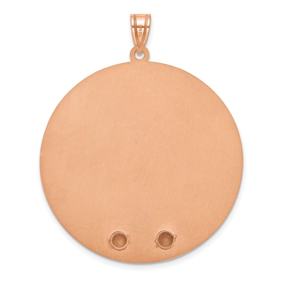 SS/Rose-plated Circle w/2 Birth Flower and Birthstone Pendant