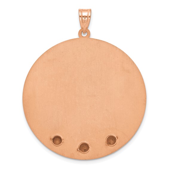 SS/Rose-plated Circle w/3 Birth Flower and Birthstone Pendant