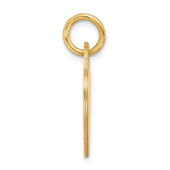 Sterling Silver/Gold-plated Small Heart Animal Information Tag