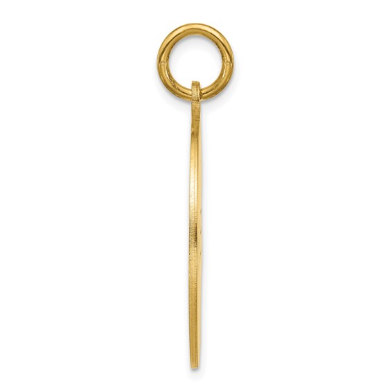 Sterling Silver/Gold-plated Small Round Animal Information Tag