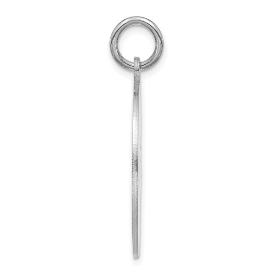 Sterling Silver/Rhodium-plated Small Round Animal Information Tag