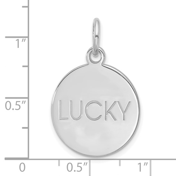 Sterling Silver/Rhodium-plated Large Round Animal Information Tag