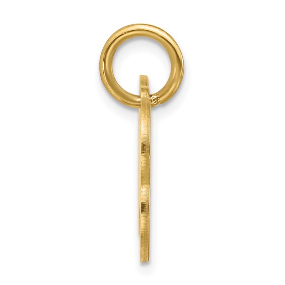 Sterling Silver/Gold-plated Small Bone Animal Information Tag