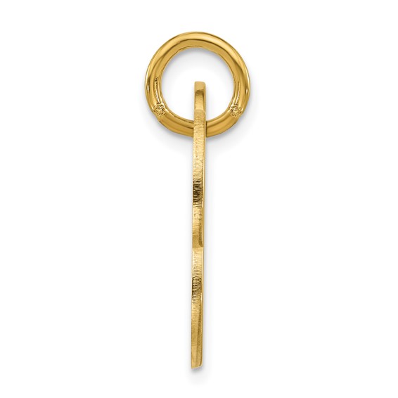 Sterling Silver/Gold-plated Large Bone Animal Information Tag