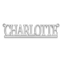Sterling Silver Rhodium-plated Underlined Name Plate view 4