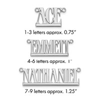 Sterling Silver Rhodium-plated Underlined Name Plate view 1