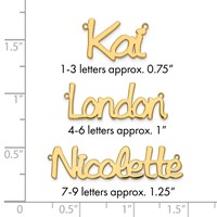 Sterling Silver Gold-plated Polished Name Plate view 3