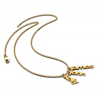 14K Yellow Gold Brushed 3 Name Charm Necklace view 5