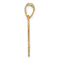 14K Yellow Gold Horse Pendant with Name view 2