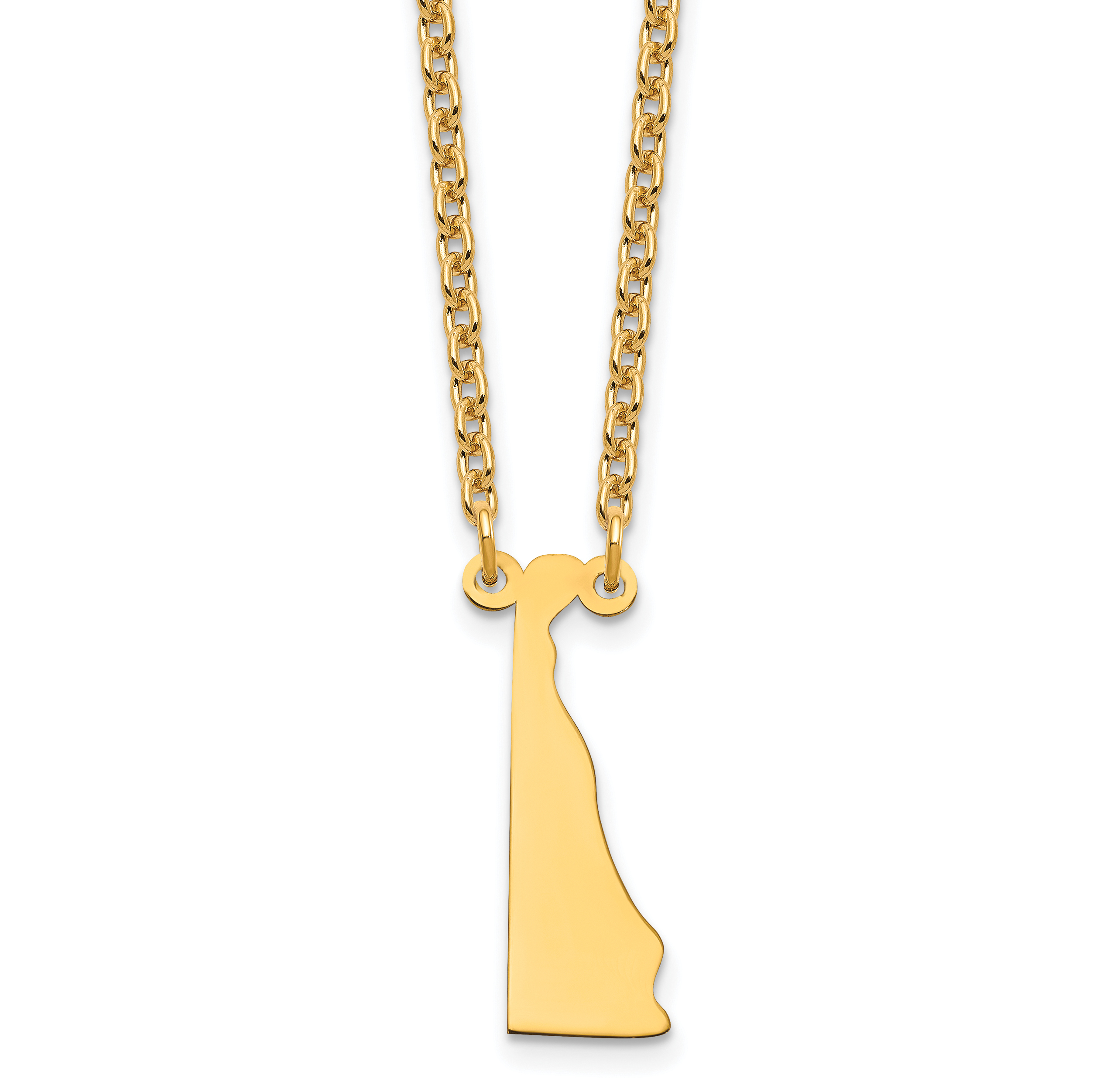 Sterling Silver/Gold-plated Delaware State Necklace (XNA706GP-DE)