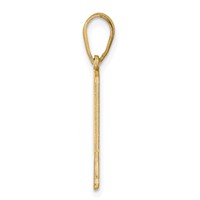 14K Yellow Gold Alaska State Pendant view 2