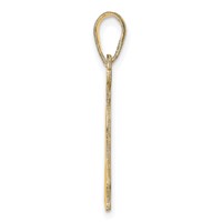 14K Yellow Gold Delaware State Pendant view 2