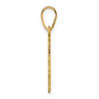 14K Yellow Gold Georgia State Pendant view 2