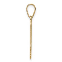 14K Yellow Gold Illinois State Pendant view 2