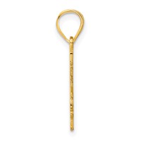 14K Yellow Gold Louisiana State Pendant view 2