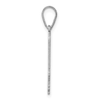 14K White Gold Illinois State Pendant view 2