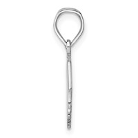 Sterling Silver Rhodium-plated South Carolina State Pendant view 2