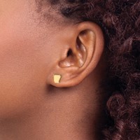14KY Arkansas State Earrings view 3