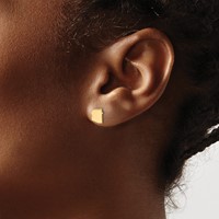 14KY Arizona State Earrings view 3