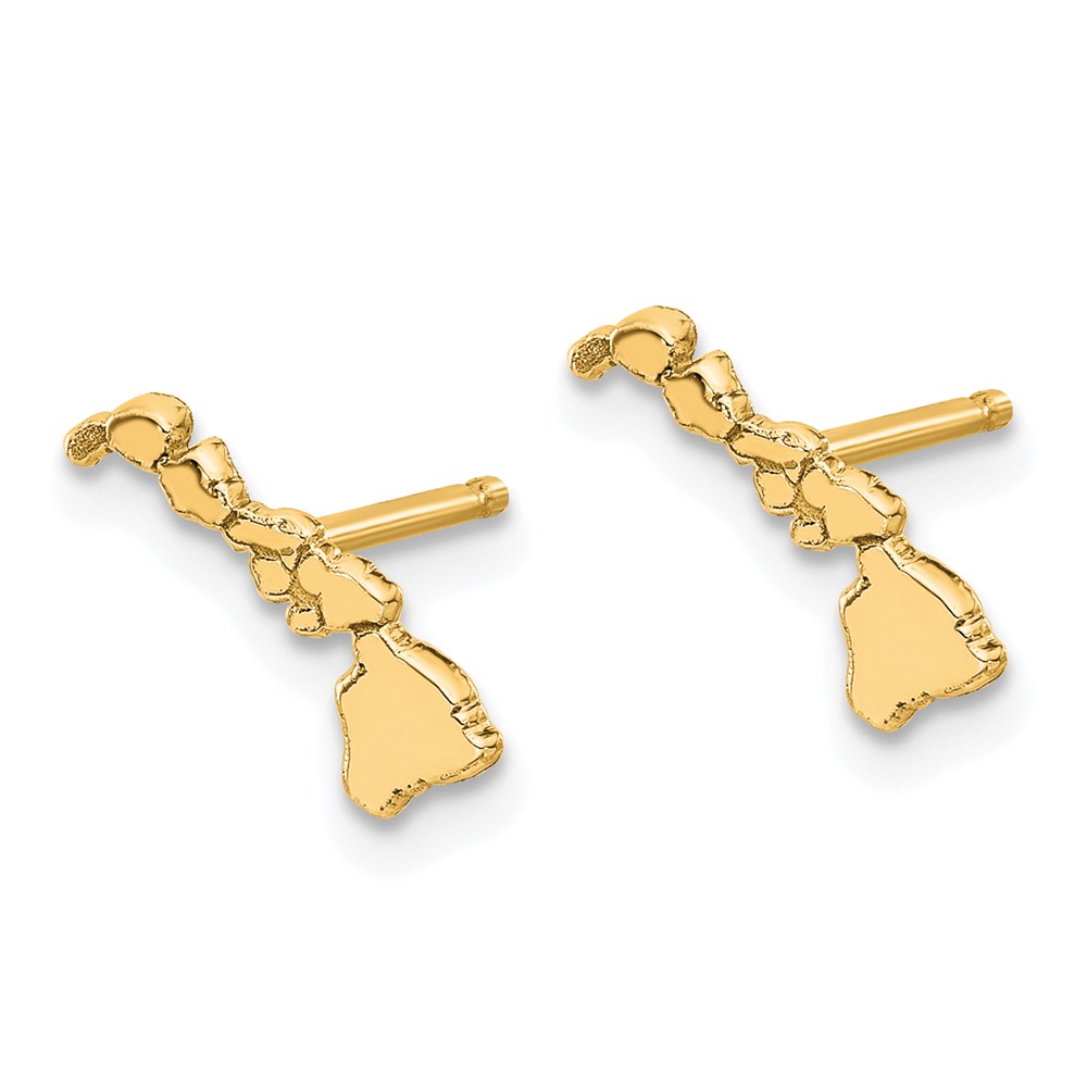 Sterling Silver/Gold-plated Hawaii State Earrings (XNE50GP-HI)